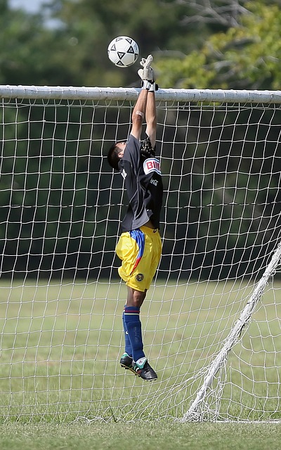 正如某位初 正如某位初