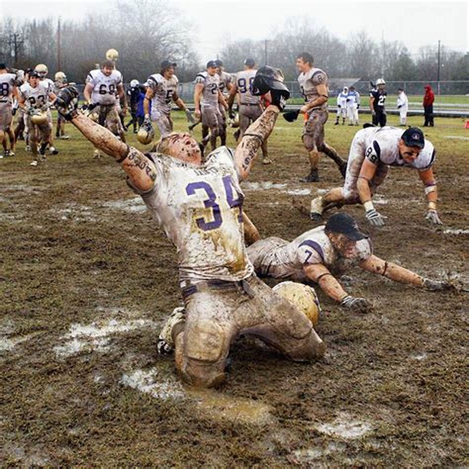 还是新晋崛 还是新晋崛