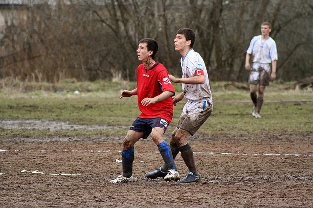 我們可以看 我們可以看