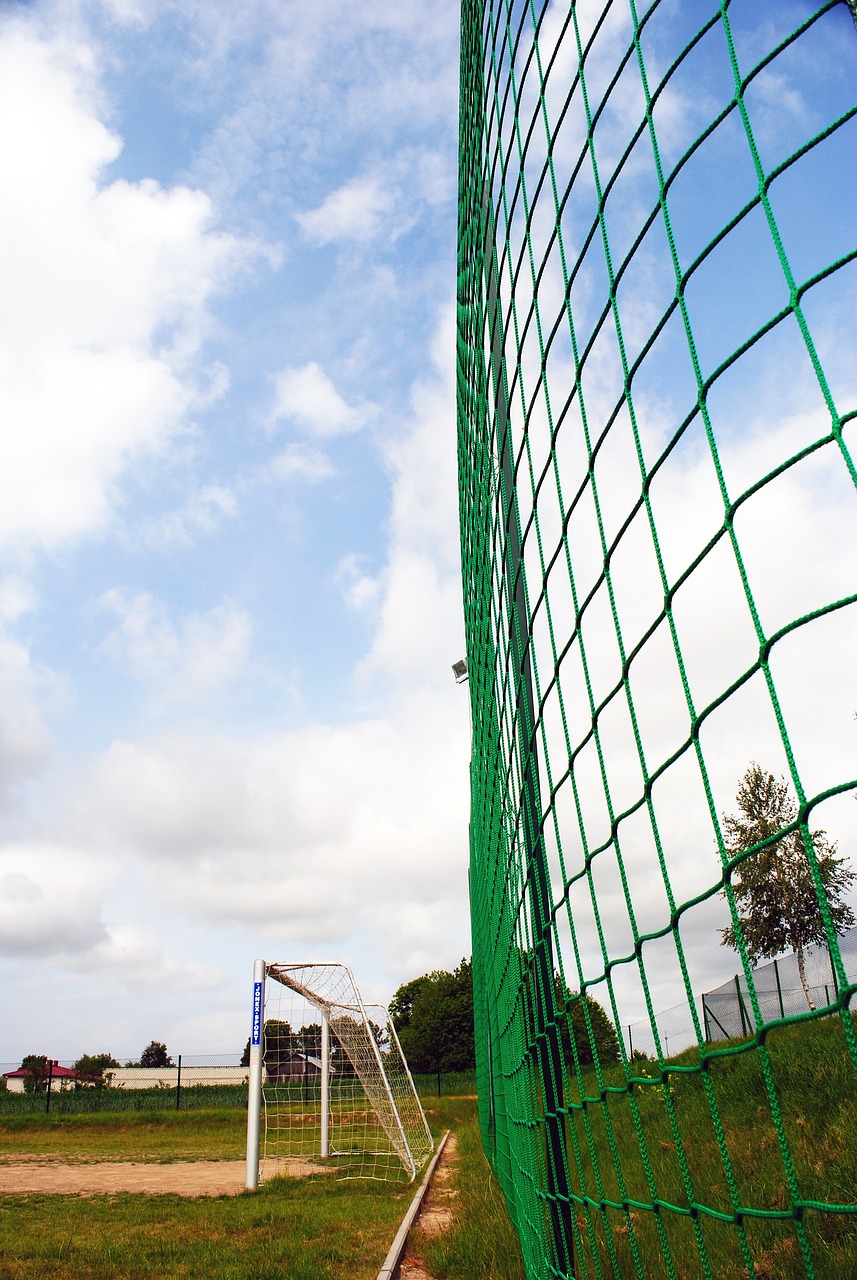 球的新希望 球的新希望