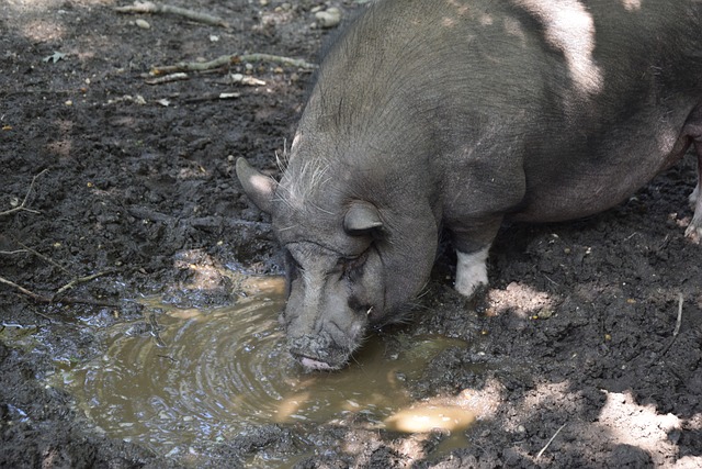 竞争激烈和 竞争激烈和