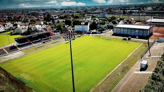 以一己之力 以一己之力